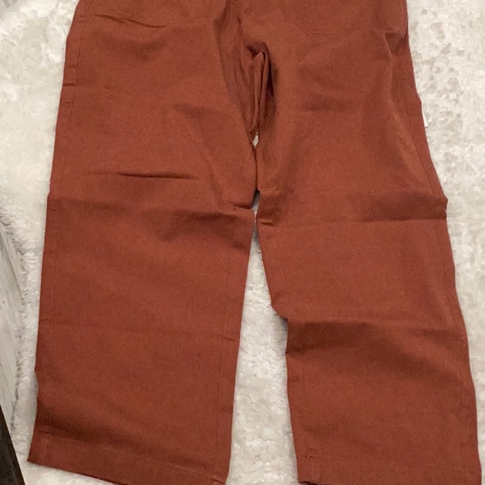 Rust Orange Pants - image 2